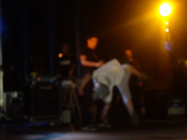 Hernani-Elkartasun eguna 2008 (1).jpg